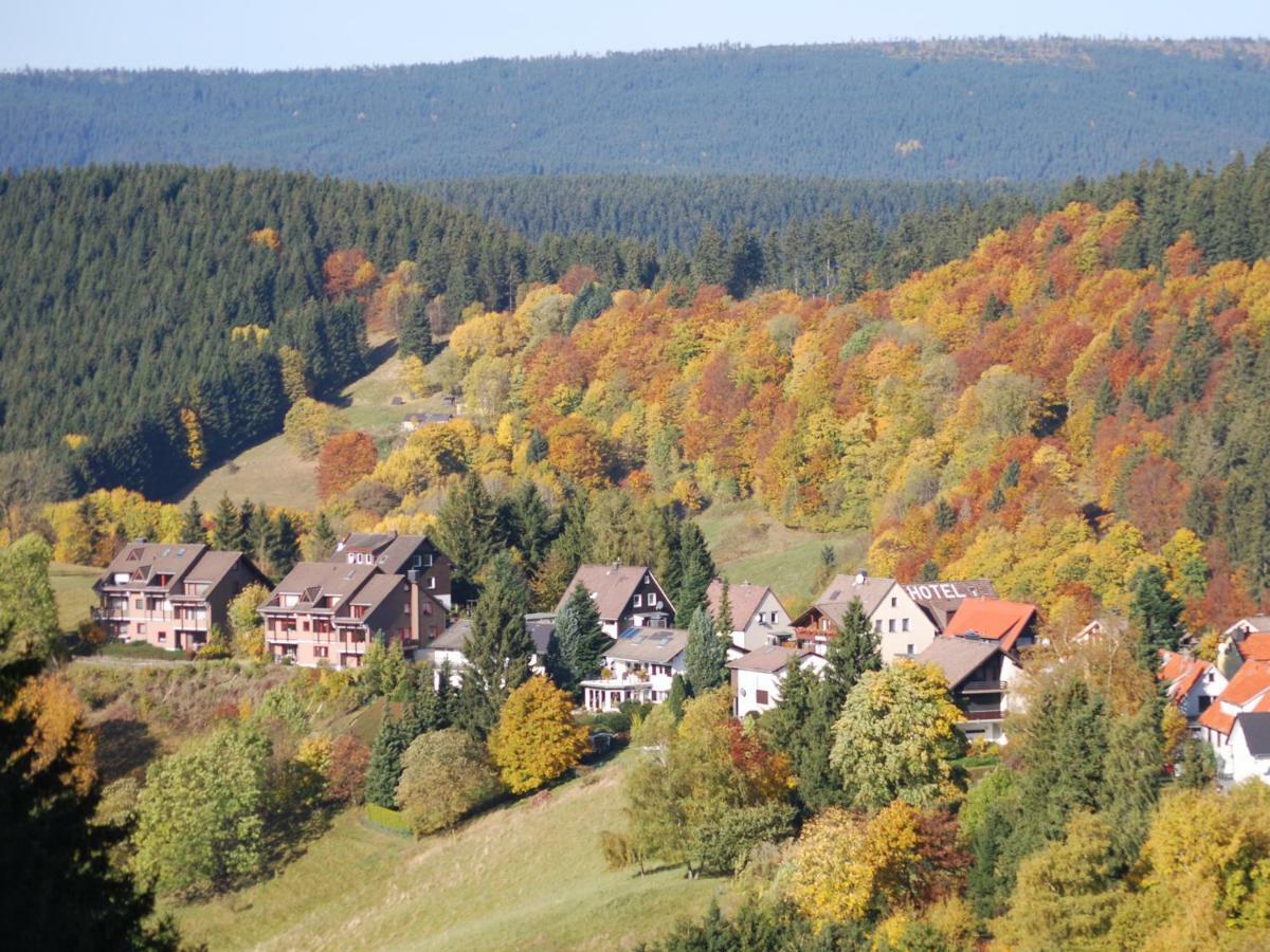 Ferienwohnung HEXE mit Komfort **** Sankt Andreasberg Exterior foto