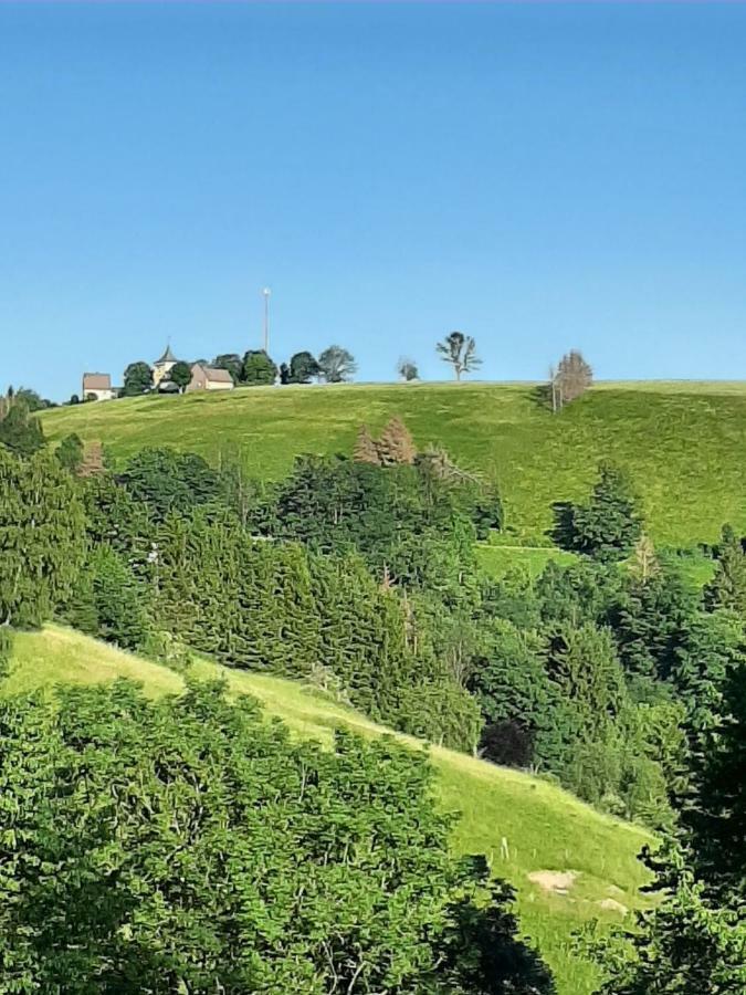 Ferienwohnung HEXE mit Komfort **** Sankt Andreasberg Exterior foto